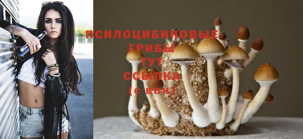 прущие грибы Баксан