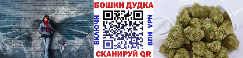 Марихуана сатива  Шимановск 